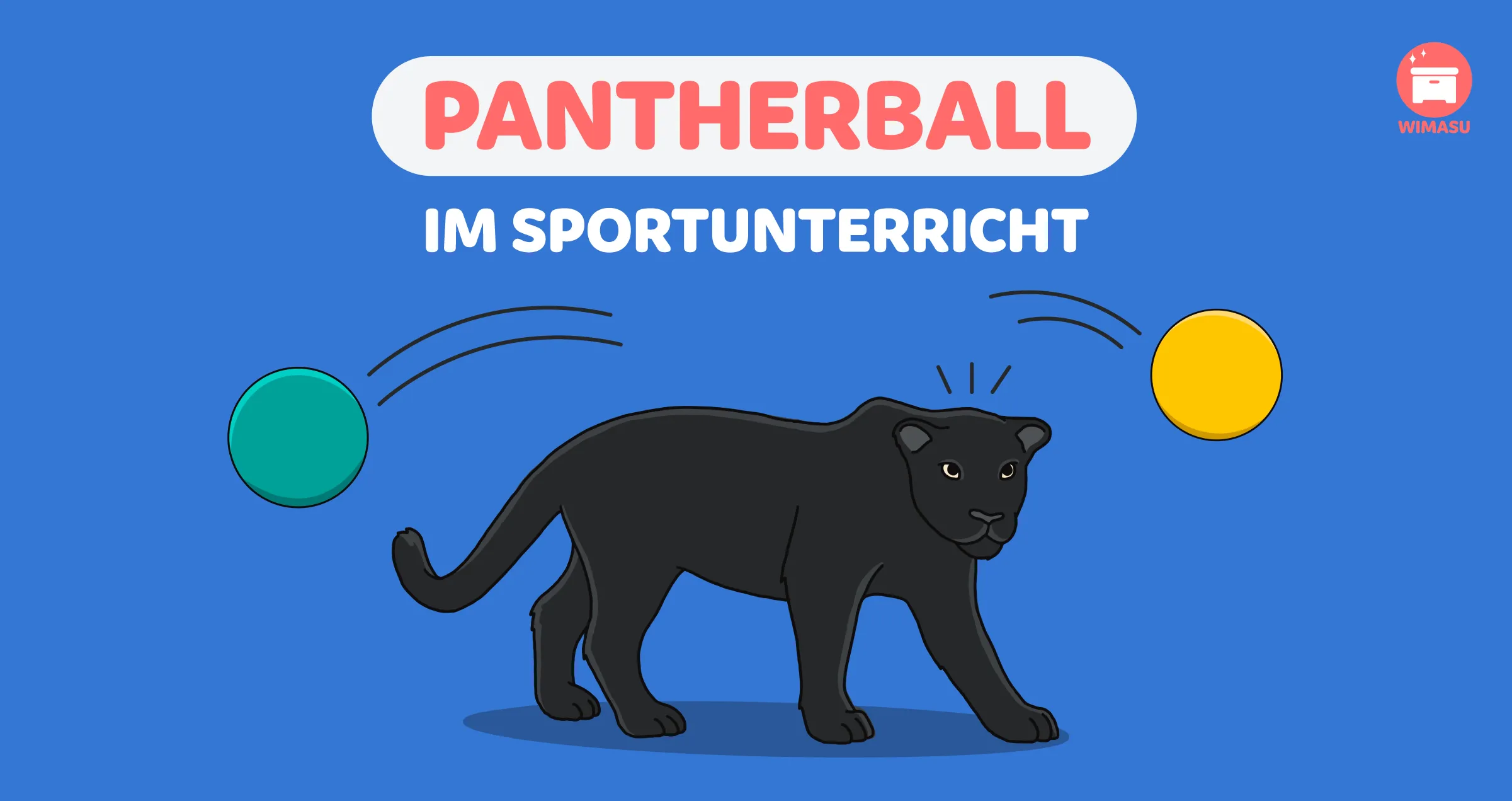 Pantherball im Sportunterricht