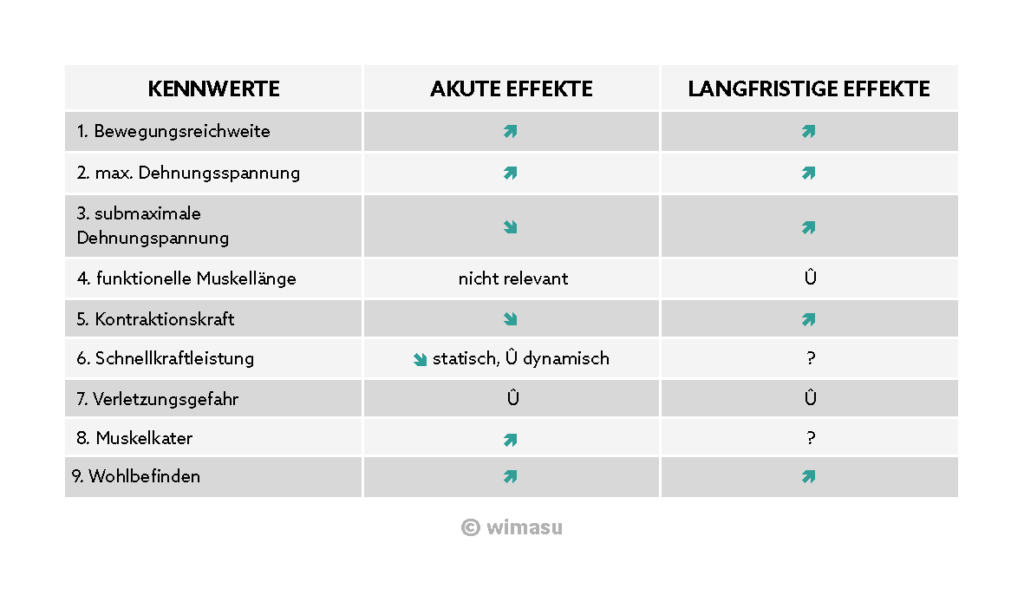 Wirkungen von Dehnen langfristige und kurzfristige Effekte.